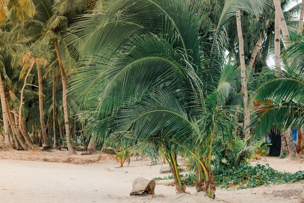 Wat zijn de ethische overpeinzingen bij het kiezen van een reisorganisatie?